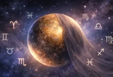 2026 Merkür Retroshade